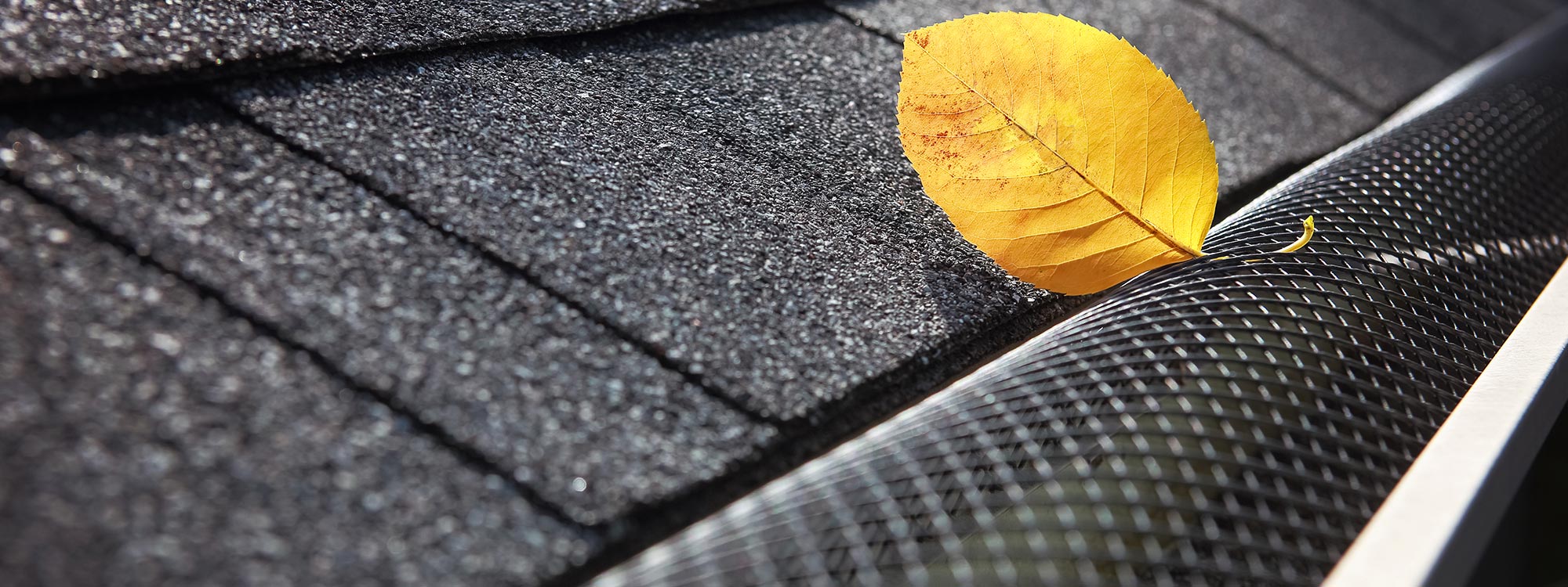 Gutter guard