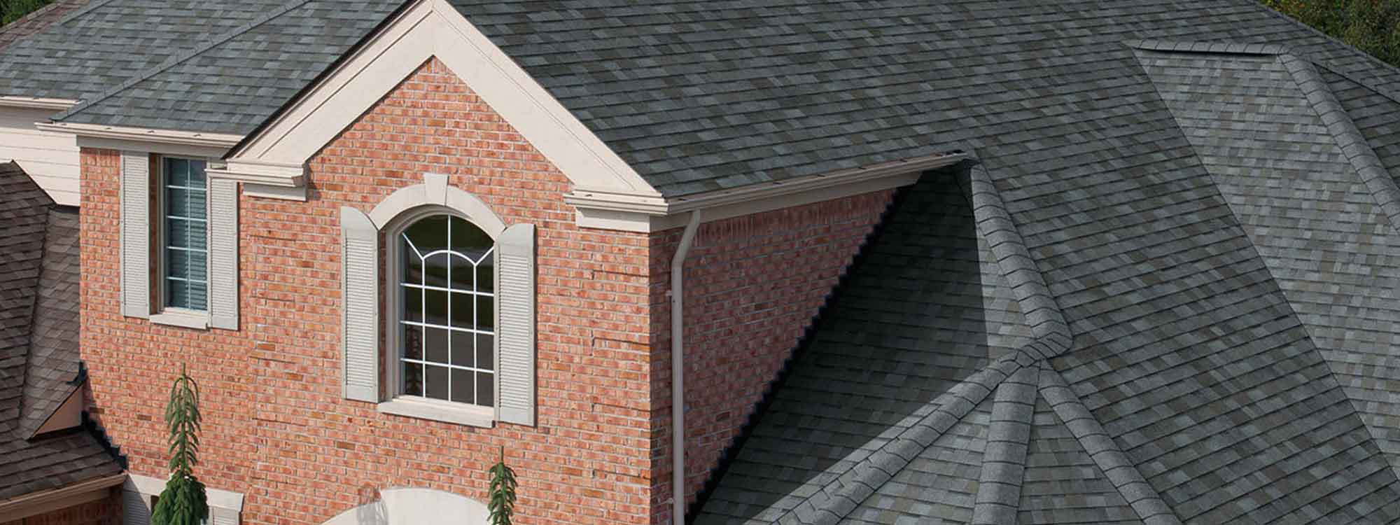 Shingles